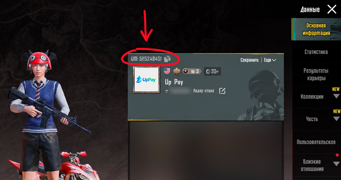 Где найти UID в профиле PUBG Mobile