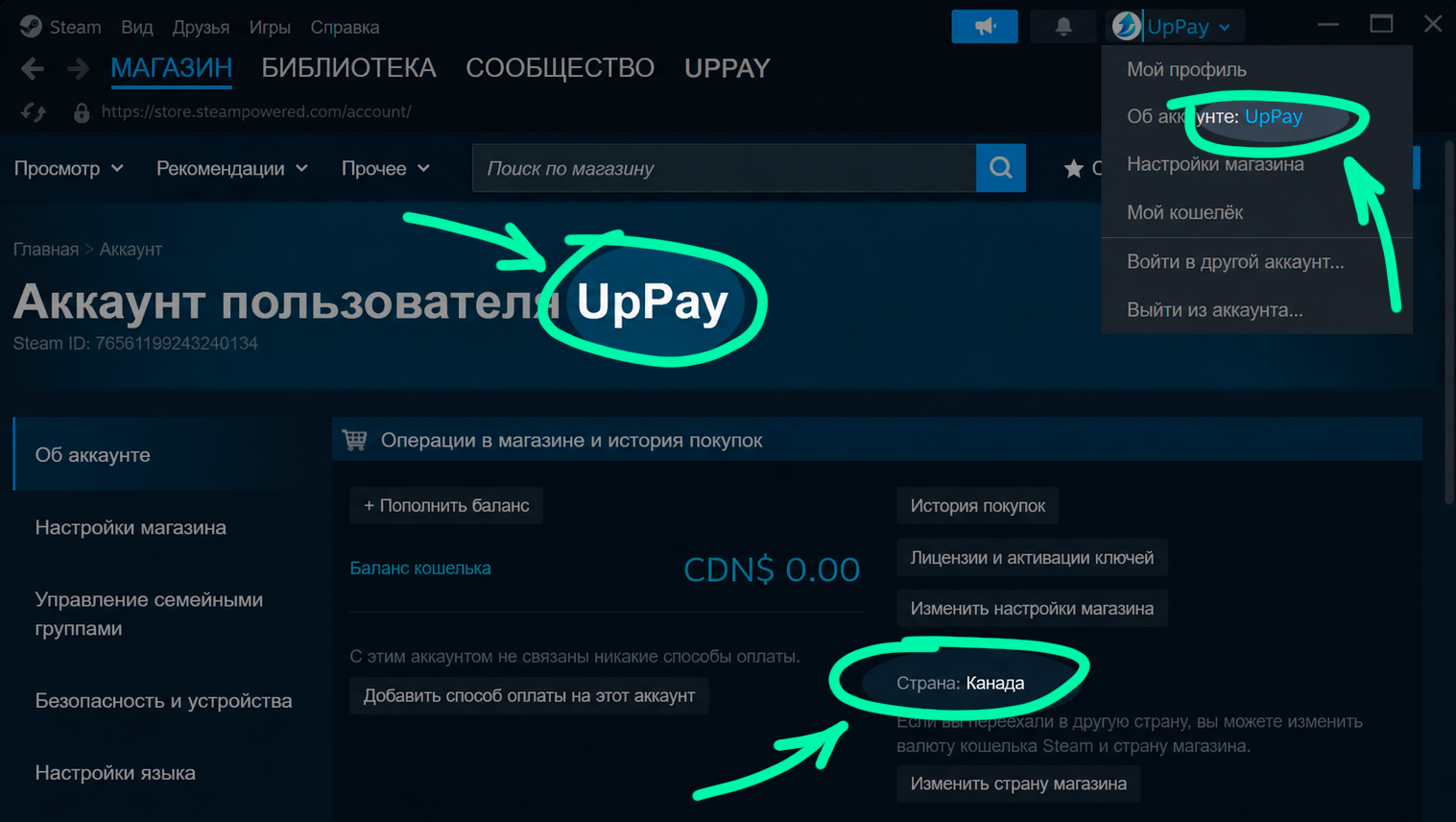 Где взять логин Steam в аккаунте